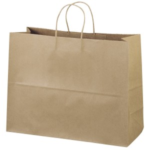 Brown Optical Shop Paper Bags, Nylon Rope, Capacity: 2kg